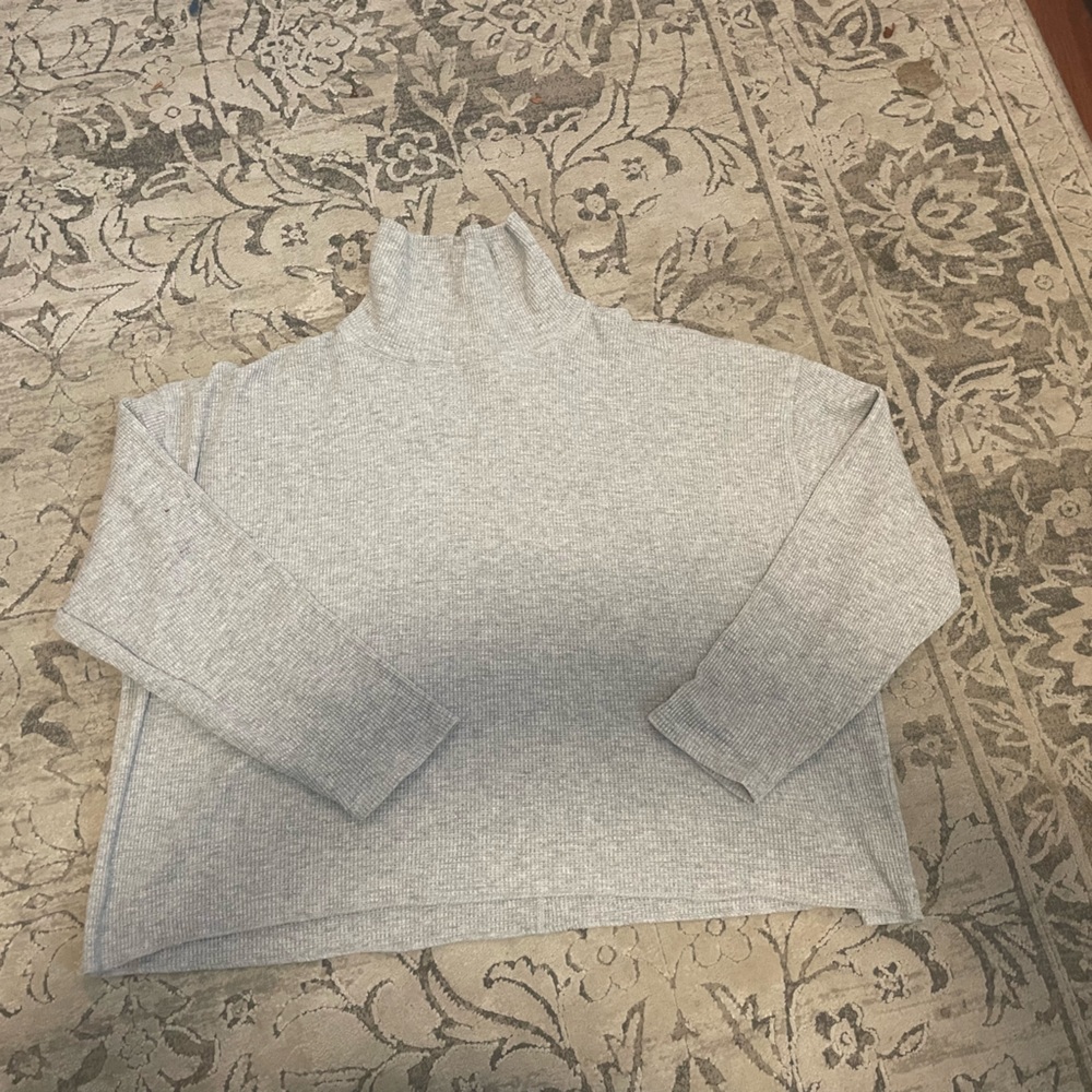 Aritzia The Group by Babaton cropped waffle turtleneck
